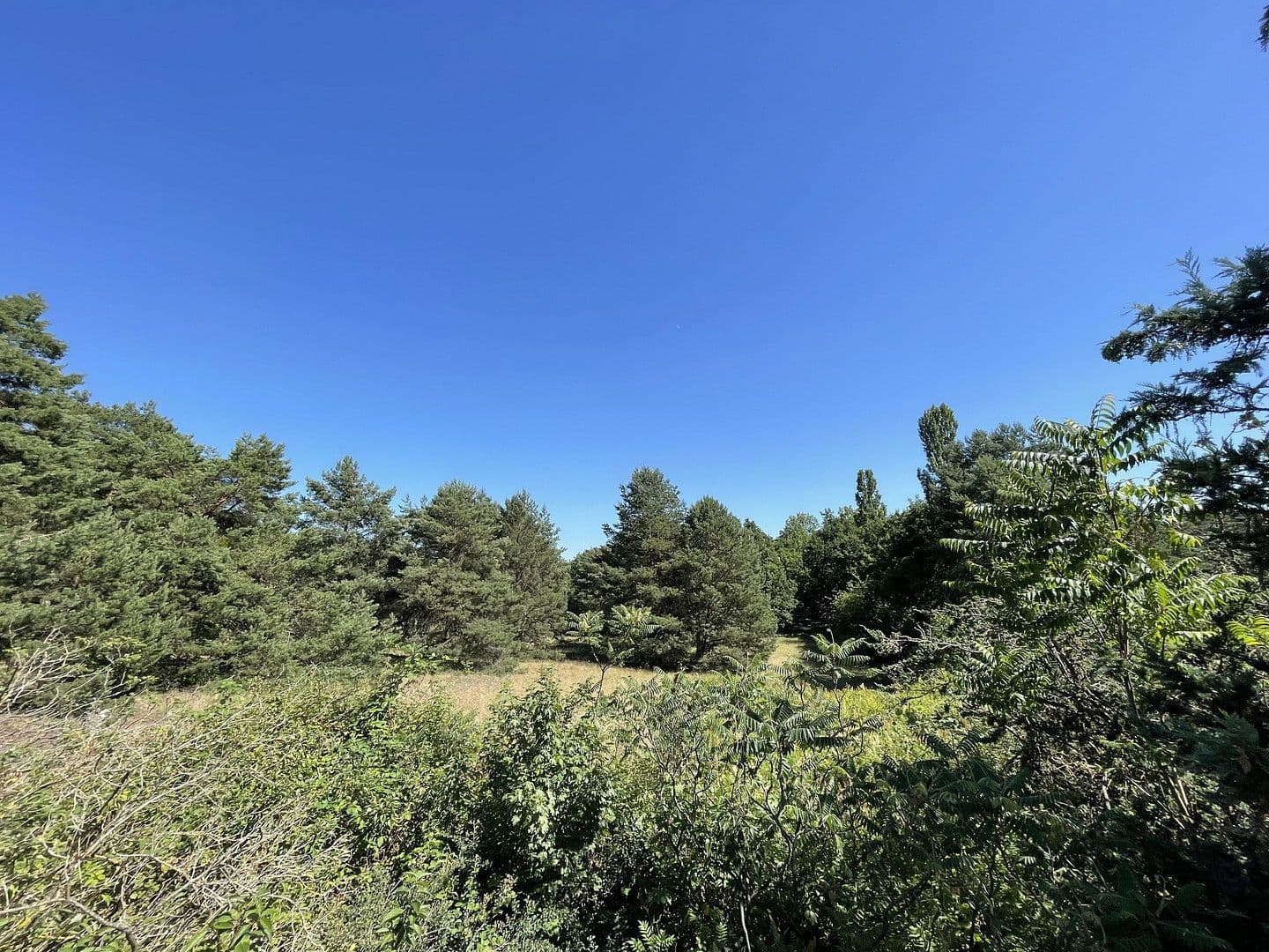 Prodej domu 85 m², pozemek 989 m², Rahnsdorf, Berlín Prodej domu 85 m², pozemek 989 m², Rahnsdorf, Berlín