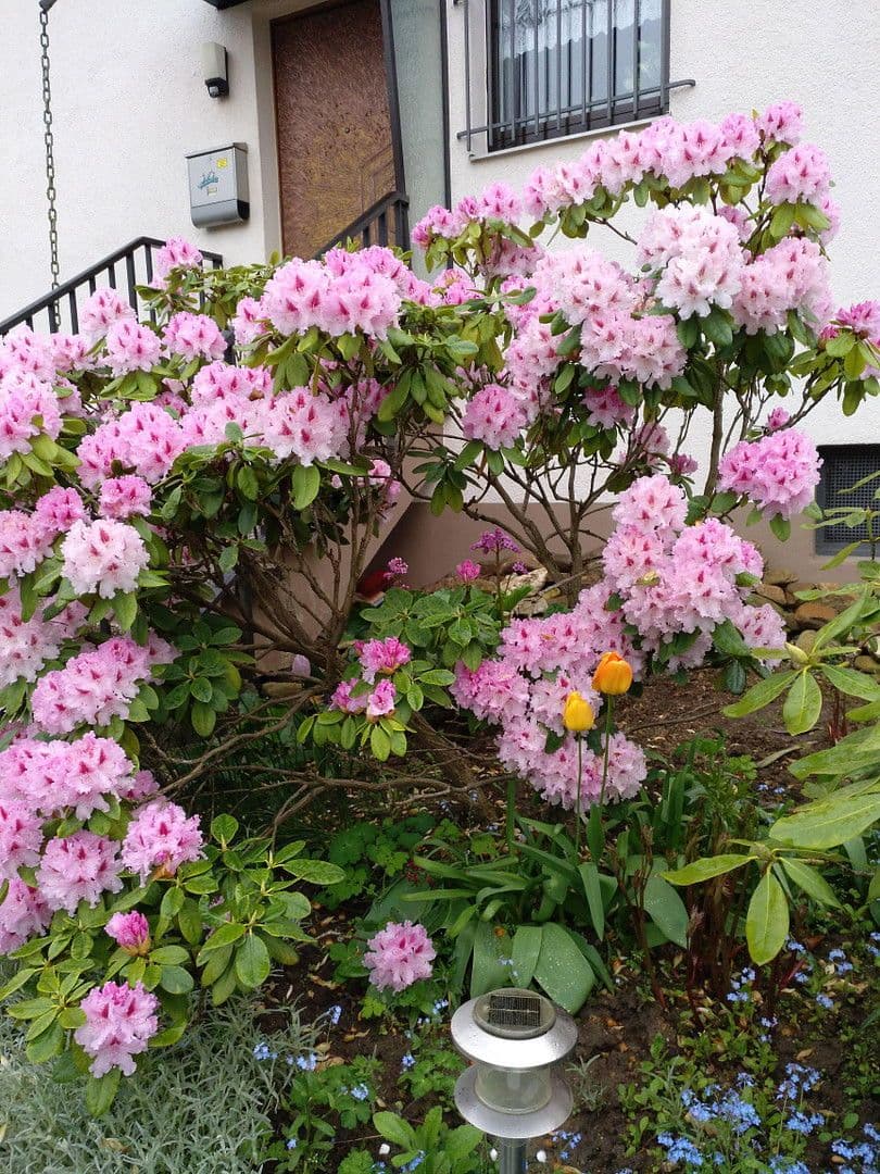 Prodej domu 138 m², pozemek 549 m², Oberursel (Taunus), Hessen Prodej domu 138 m², pozemek 549 m², Oberursel (Taunus), Hessen