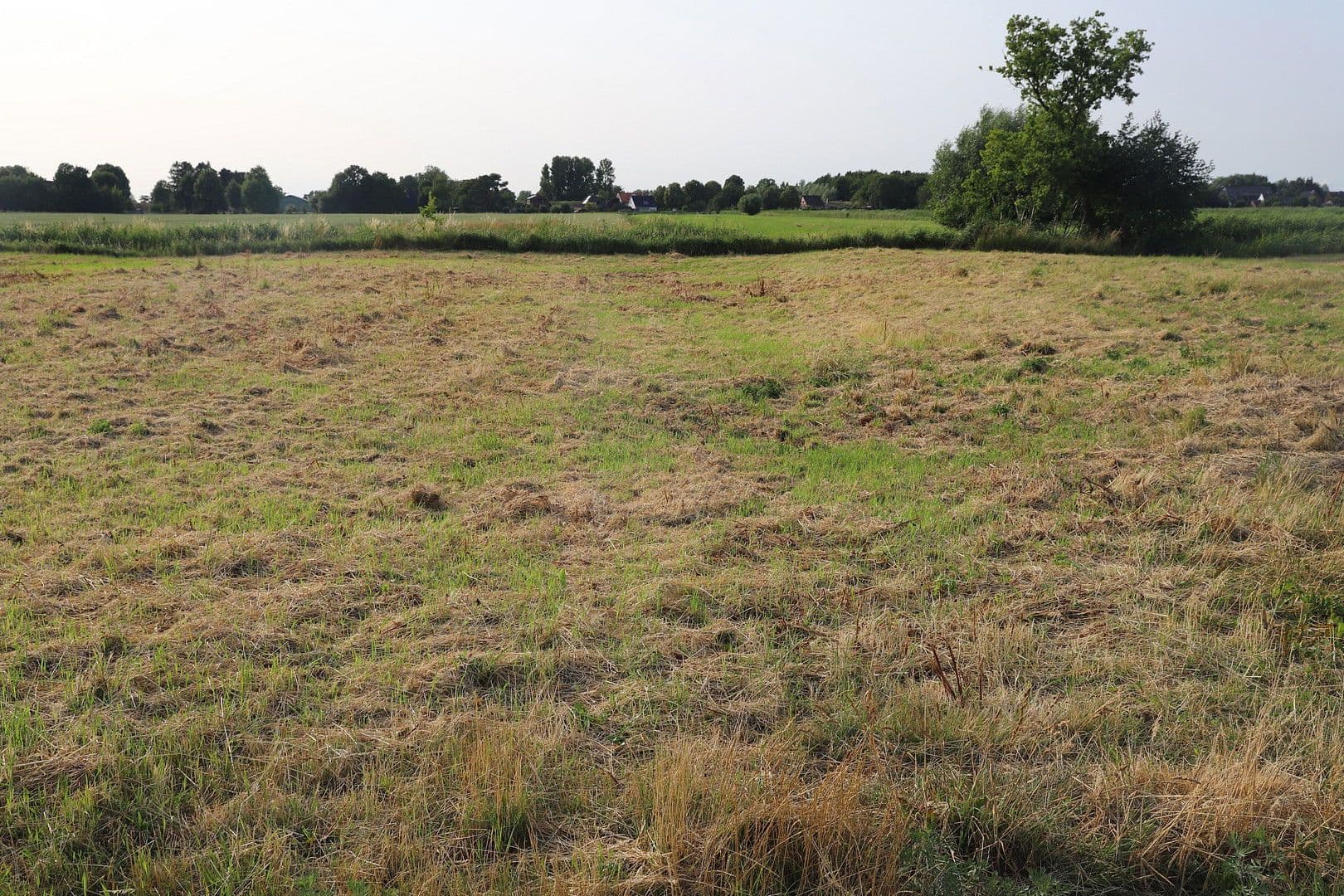 Prodej pozemku 1.017 m², Zur Rönnwettern 35, Seester, Šlesvicko-Holštýnsko Prodej pozemku 1.017 m², Zur Rönnwettern 35, Seester, Šlesvicko-Holštýnsko