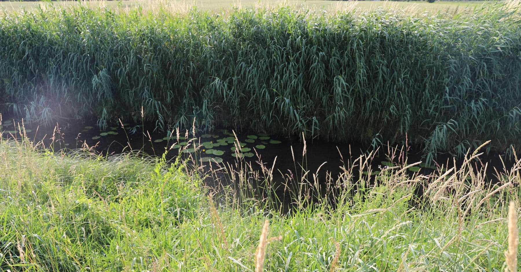 Prodej pozemku 1.017 m², Zur Rönnwettern 35, Seester, Šlesvicko-Holštýnsko Prodej pozemku 1.017 m², Zur Rönnwettern 35, Seester, Šlesvicko-Holštýnsko