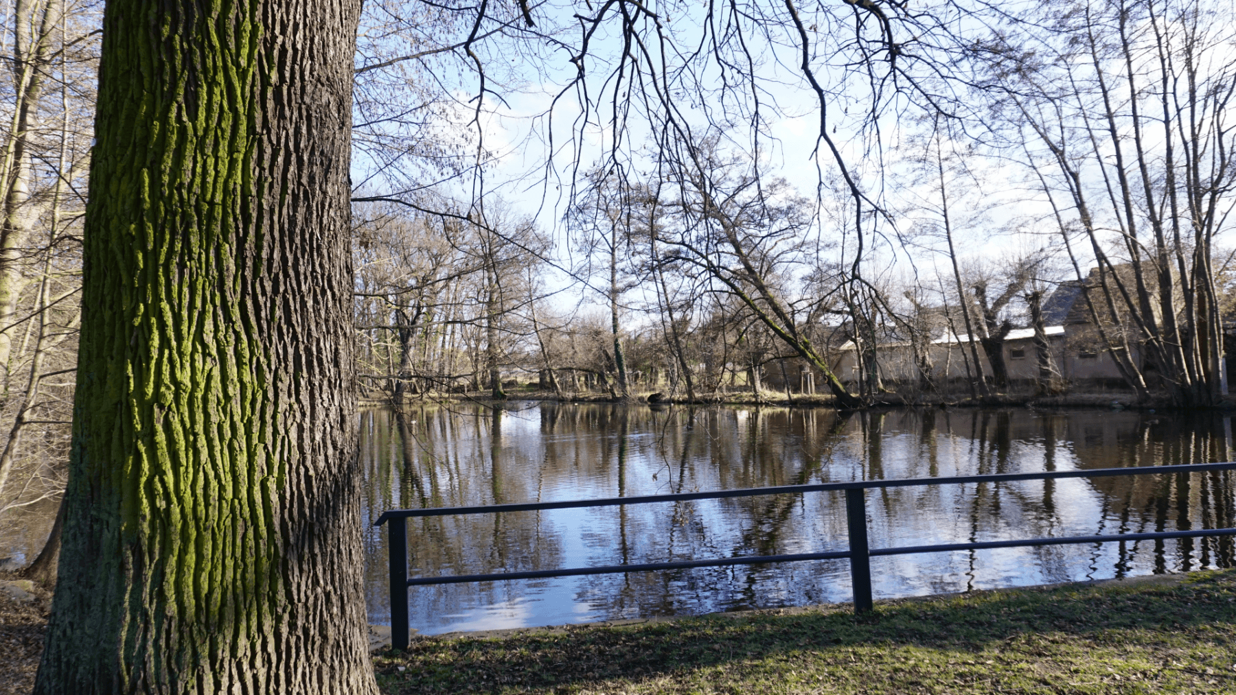 Prodej domu 132 m², pozemek 532 m², Ebersbach, Sasko Prodej domu 132 m², pozemek 532 m², Ebersbach, Sasko