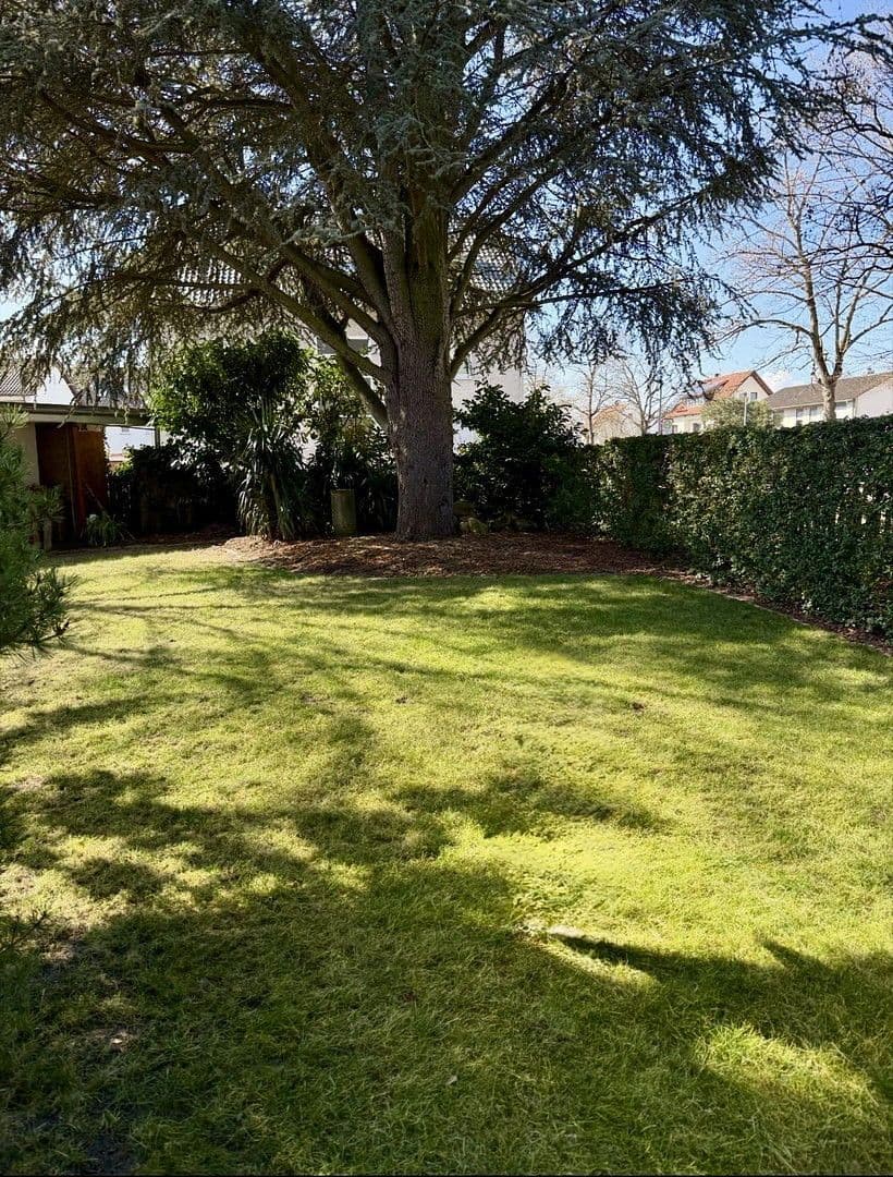 Prodej domu 340 m², pozemek 973 m², Rheinzabern, Porýní-Falc Prodej domu 340 m², pozemek 973 m², Rheinzabern, Porýní-Falc