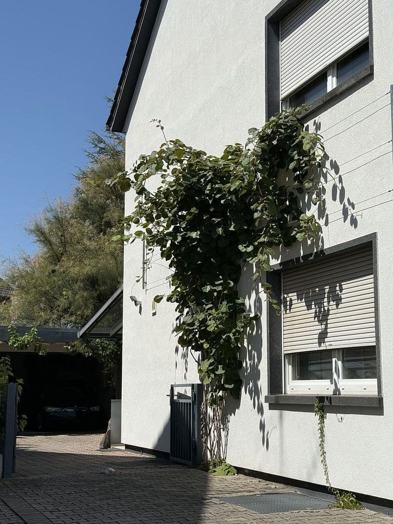 Prodej domu 340 m², pozemek 973 m², Rheinzabern, Porýní-Falc Prodej domu 340 m², pozemek 973 m², Rheinzabern, Porýní-Falc