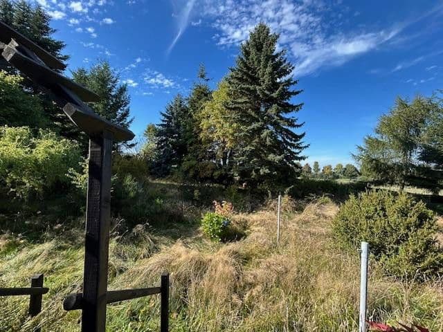 Prodej domu 80 m², pozemek 2.000 m², Rechenberg-Bienenmühle, Sasko Prodej domu 80 m², pozemek 2.000 m², Rechenberg-Bienenmühle, Sasko