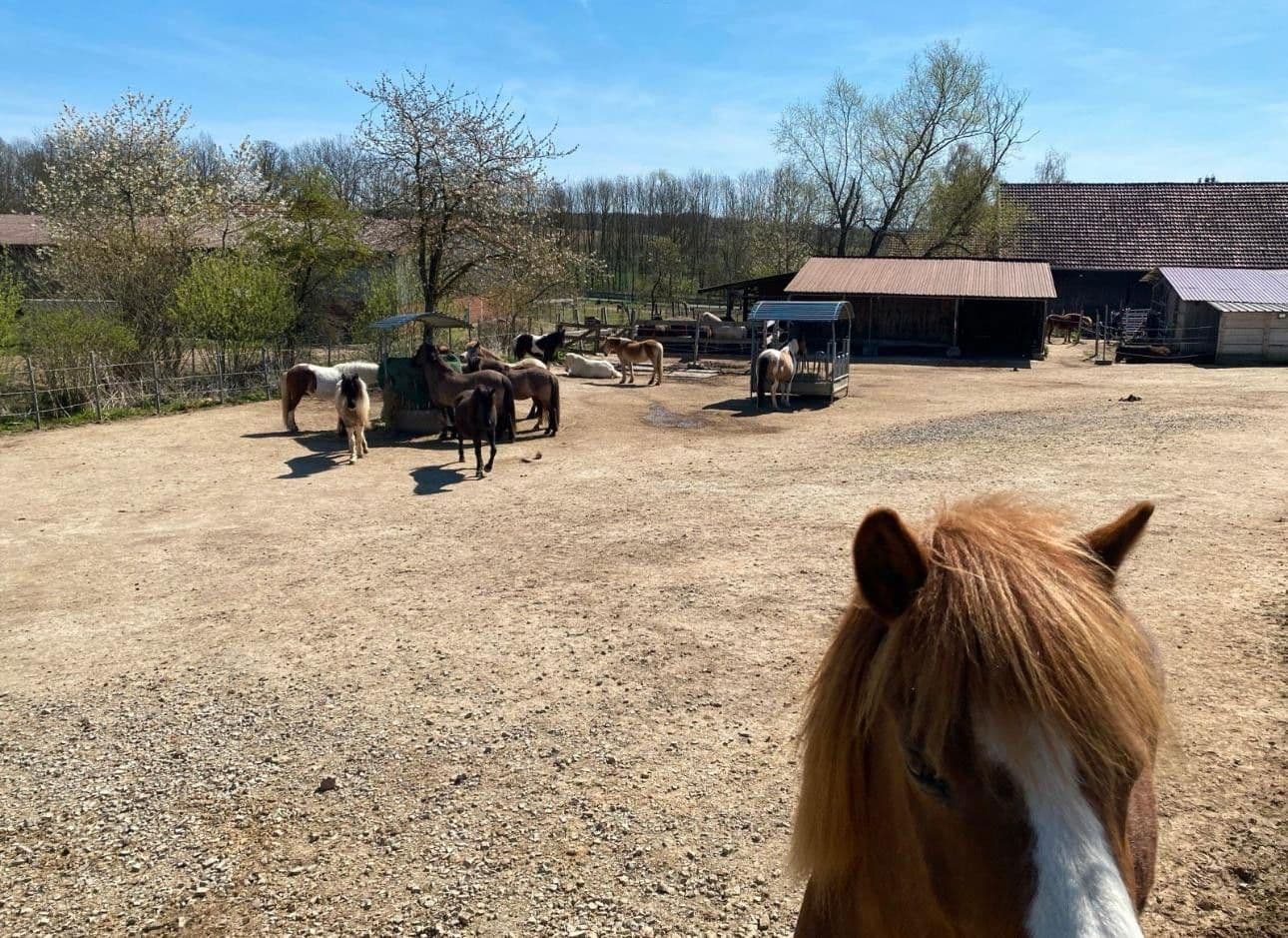 Prodej pozemku 31.000 m², Auf der Heide 3, Espenau, Hessen Prodej pozemku 31.000 m², Auf der Heide 3, Espenau, Hessen