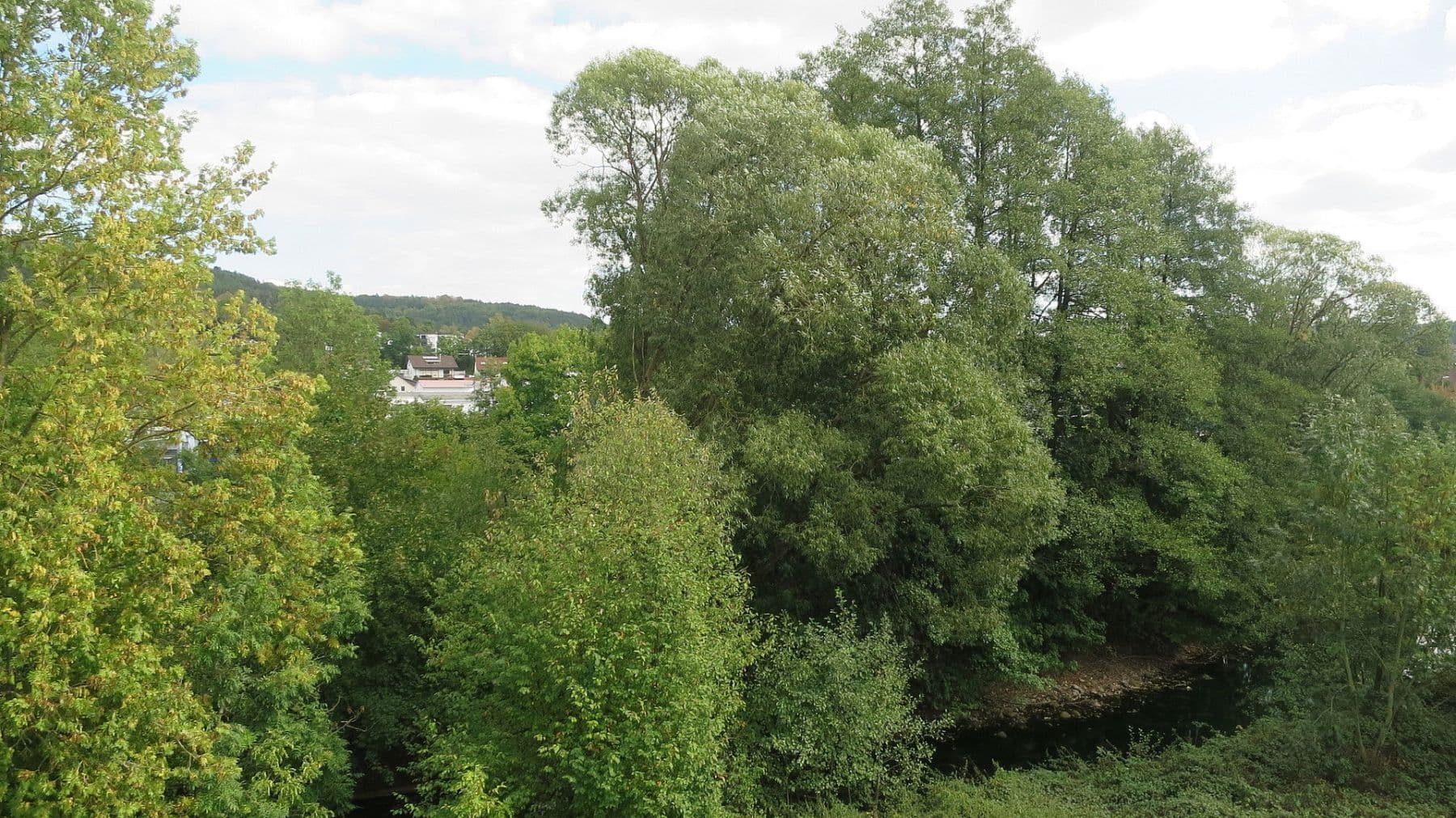 Pronájem bytu 2+1 50 m², Kronach, Bavorsko Pronájem bytu 2+1 50 m², Kronach, Bavorsko