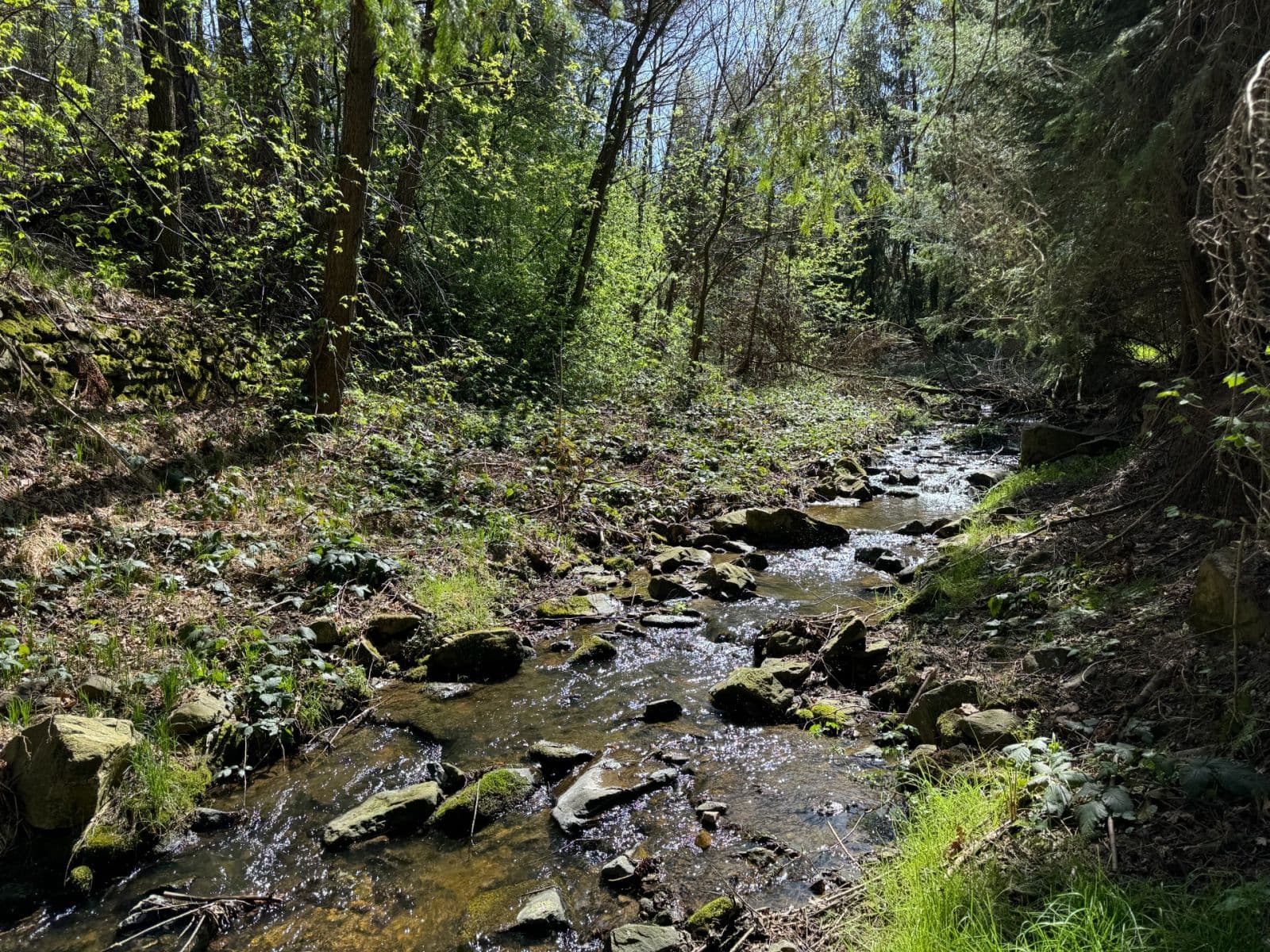 Prodej pozemku 652 m², Holubov, Jihočeský kraj Prodej pozemku 652 m², Holubov, Jihočeský kraj