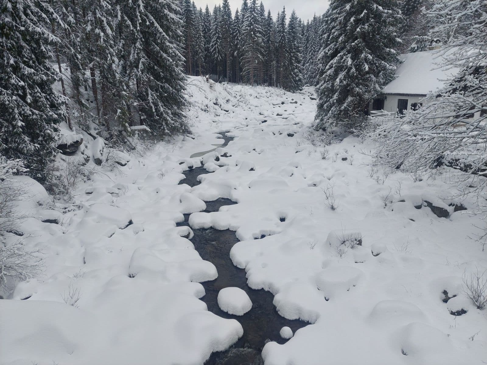 Pronájem bytu 3+kk 70 m², Kořenov, Liberecký kraj Pronájem bytu 3+kk 70 m², Kořenov, Liberecký kraj