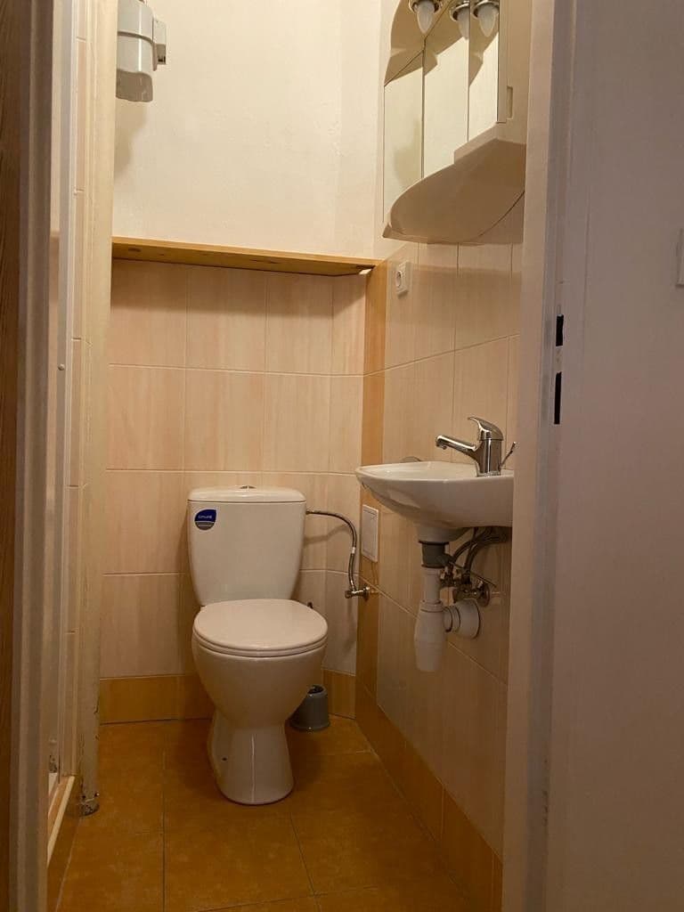 Pronájem bytu 1+1 35 m², Velehradská, Praha, Praha Pronájem bytu 1+1 35 m², Velehradská, Praha, Praha