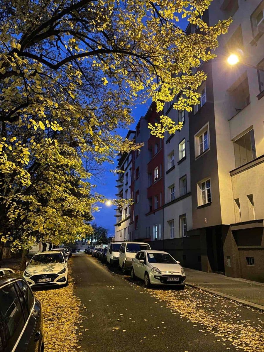 Pronájem bytu 2+kk 56 m², Stehlíkova, Plzeň, Plzeňský kraj Pronájem bytu 2+kk 56 m², Stehlíkova, Plzeň, Plzeňský kraj