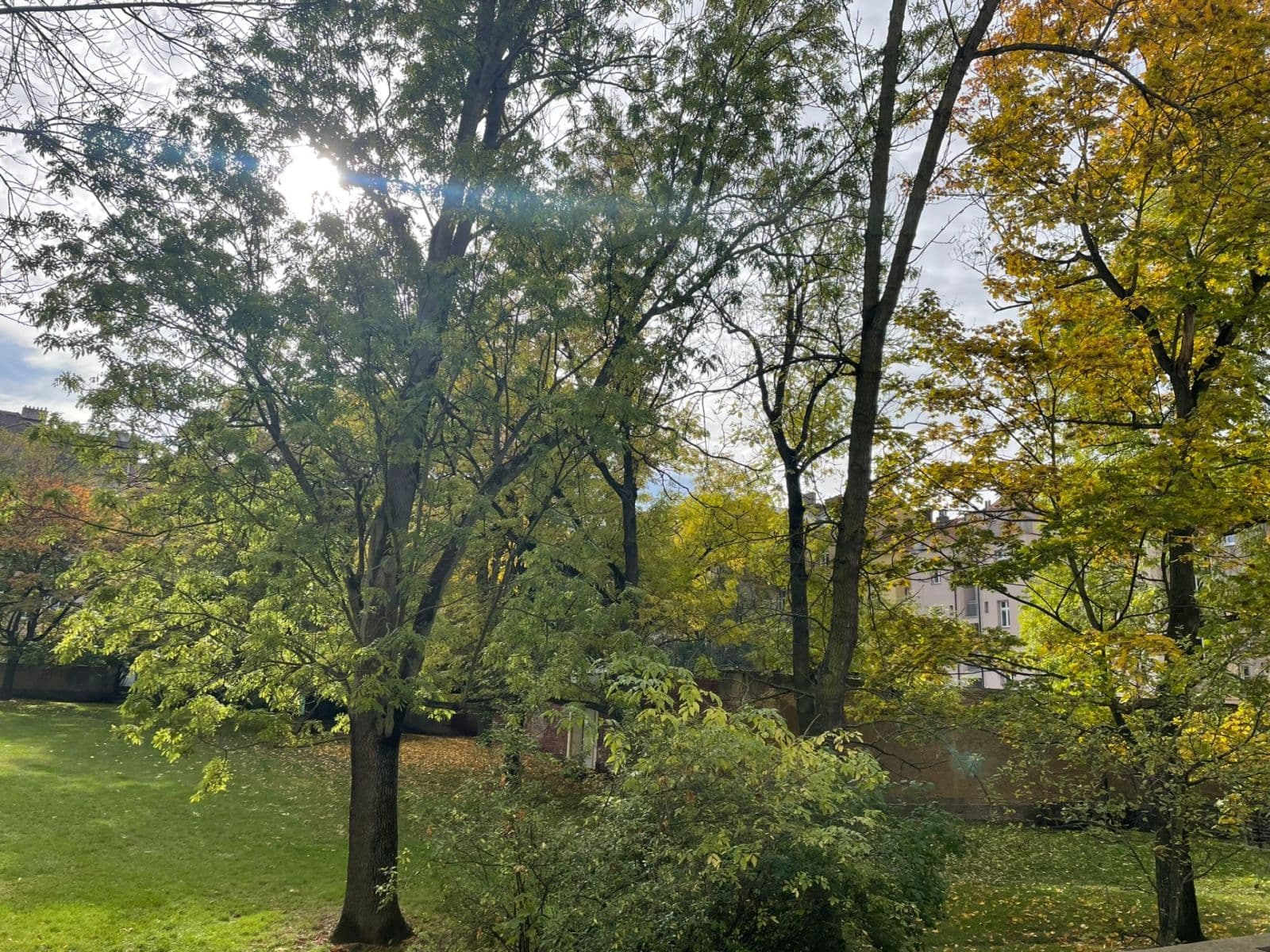 Pronájem bytu 2+kk 56 m², Stehlíkova, Plzeň, Plzeňský kraj Pronájem bytu 2+kk 56 m², Stehlíkova, Plzeň, Plzeňský kraj