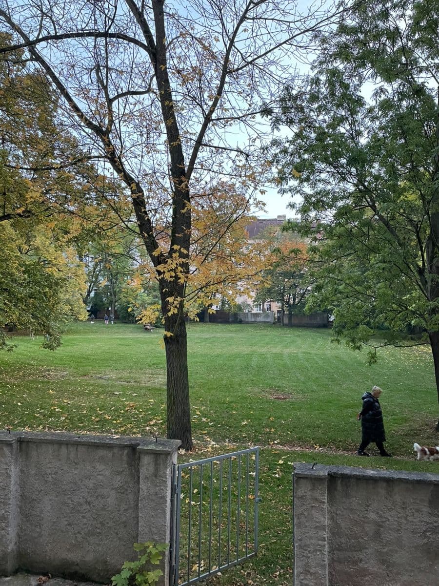 Pronájem bytu 2+kk 56 m², Stehlíkova, Plzeň, Plzeňský kraj Pronájem bytu 2+kk 56 m², Stehlíkova, Plzeň, Plzeňský kraj