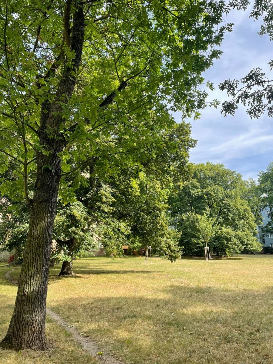 Pronájem bytu 2+kk 56 m², Stehlíkova, Plzeň, Plzeňský kraj Pronájem bytu 2+kk 56 m², Stehlíkova, Plzeň, Plzeňský kraj