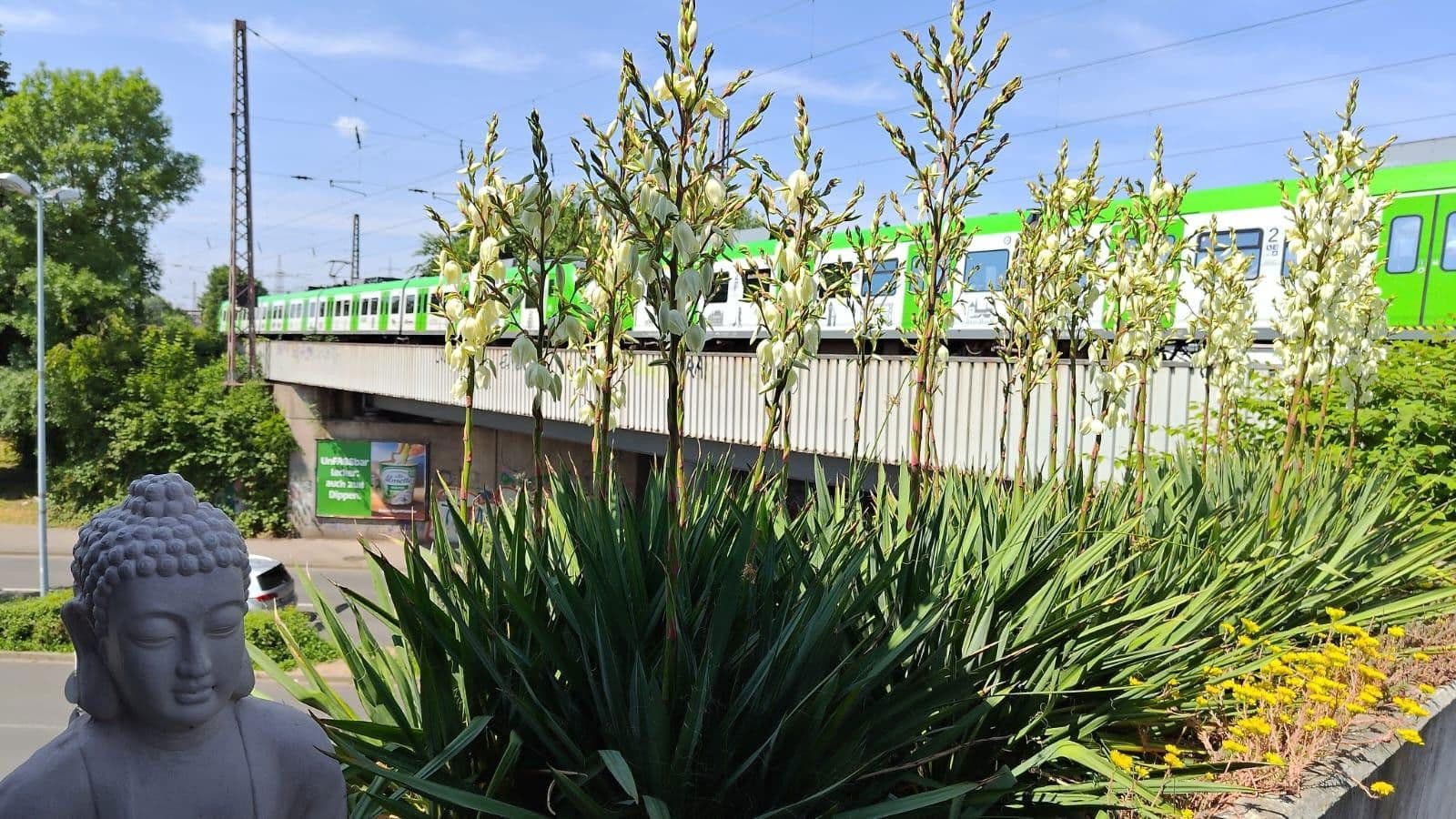 Pronájem nebytového prostoru 462 m², Mülheim an der Ruhr, Severní Porýní-Vestfálsko Pronájem nebytového prostoru 462 m², Mülheim an der Ruhr, Severní Porýní-Vestfálsko