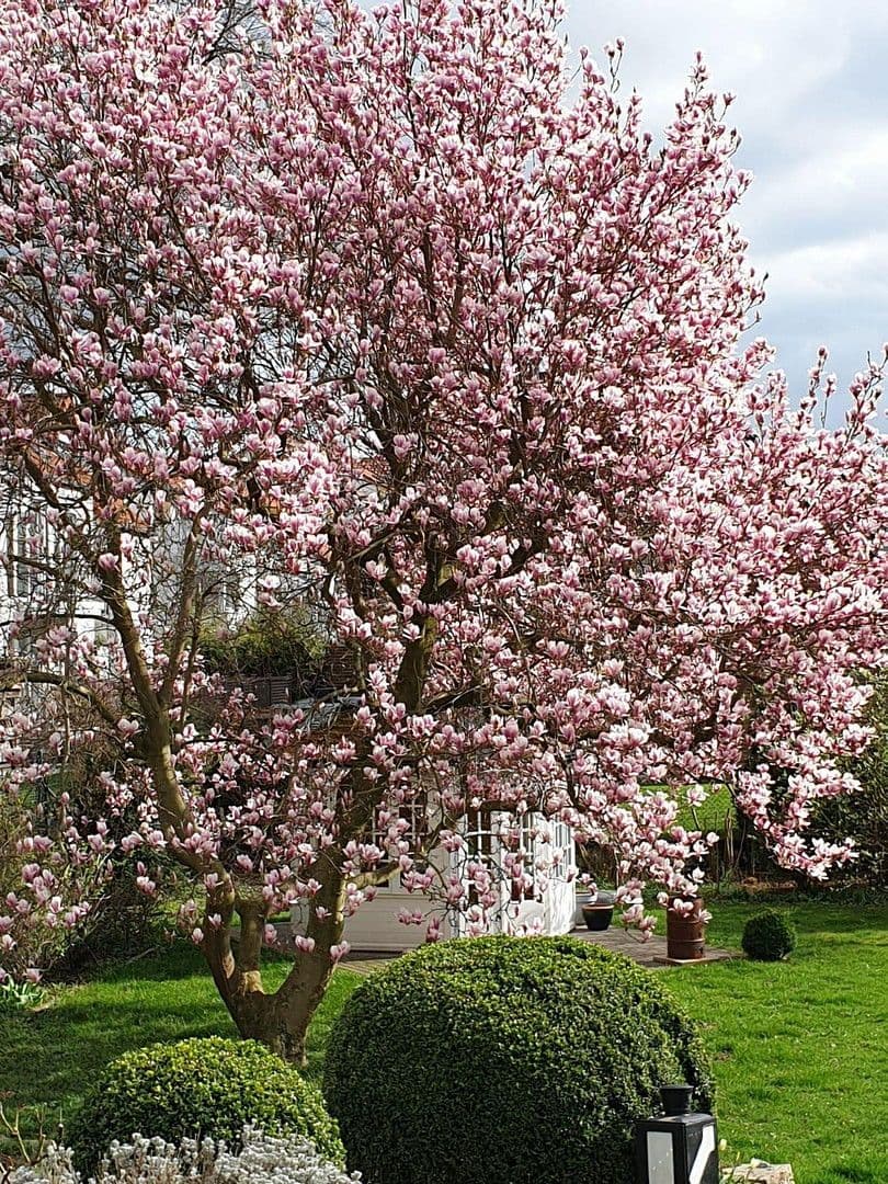 Prodej domu 230 m², pozemek 1.095 m², Wolfenbüttel, Dolní Sasko Prodej domu 230 m², pozemek 1.095 m², Wolfenbüttel, Dolní Sasko