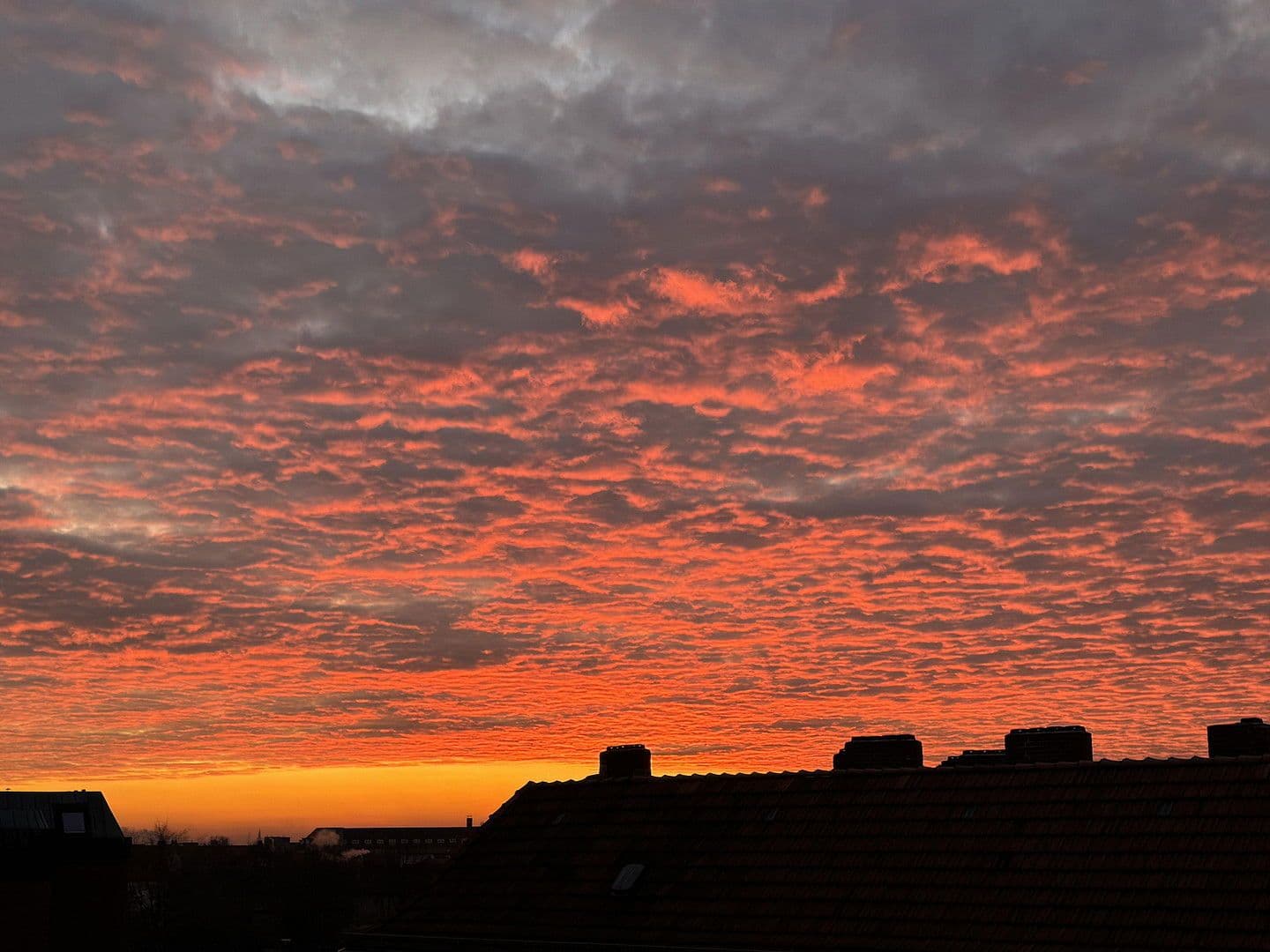 Prodej bytu 3+1 80 m², Walderseestraße, Berlin, Berlín Prodej bytu 3+1 80 m², Walderseestraße, Berlin, Berlín