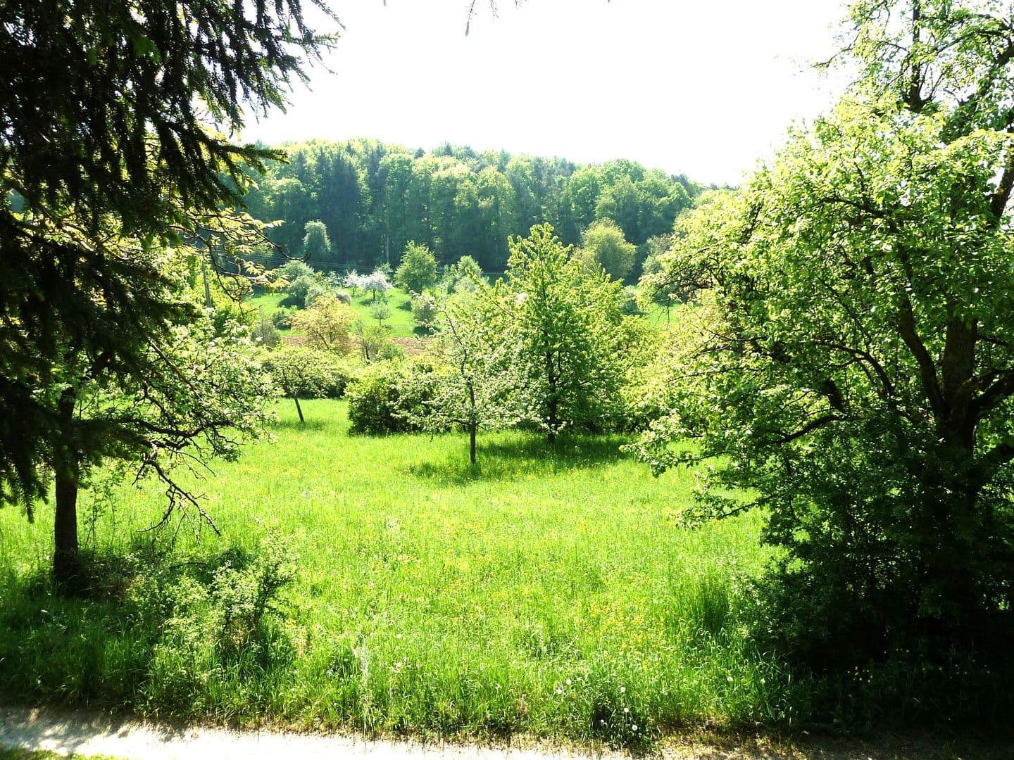 Prodej pozemku 653 m², Gewann Börstein, Pfinztal, Bádensko-Württembersko Prodej pozemku 653 m², Gewann Börstein, Pfinztal, Bádensko-Württembersko