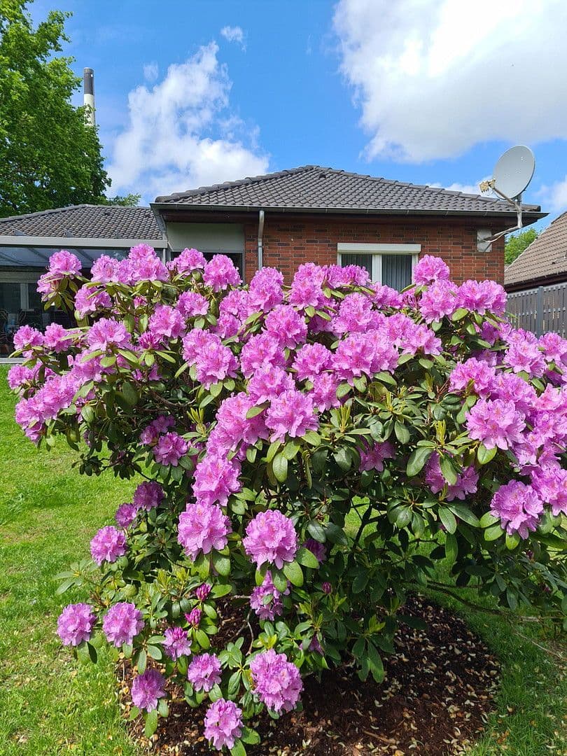 Prodej domu 102 m², pozemek 830 m², Hemmingstedt, Šlesvicko-Holštýnsko Prodej domu 102 m², pozemek 830 m², Hemmingstedt, Šlesvicko-Holštýnsko