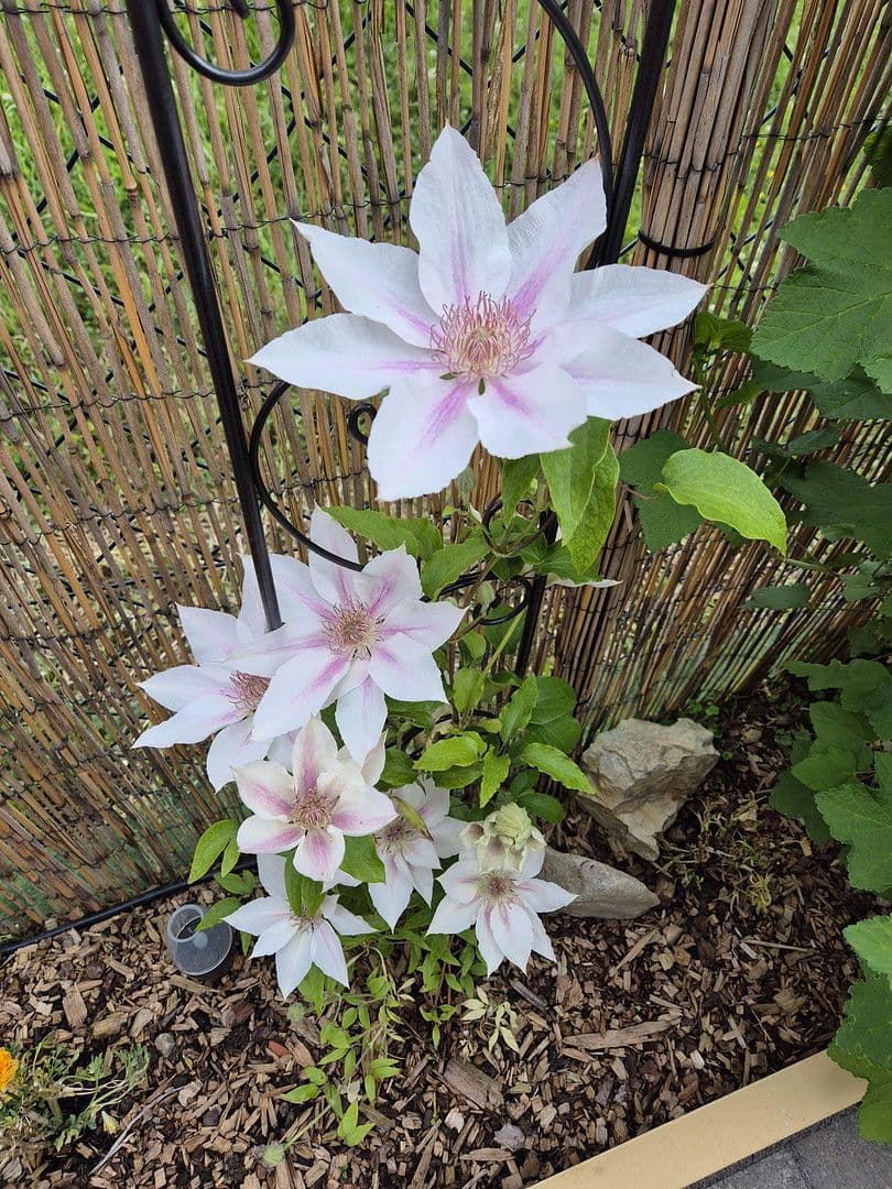 Prodej bytu 3+1 111 m², Waldbüttelbrunn, Bavorsko Prodej bytu 3+1 111 m², Waldbüttelbrunn, Bavorsko