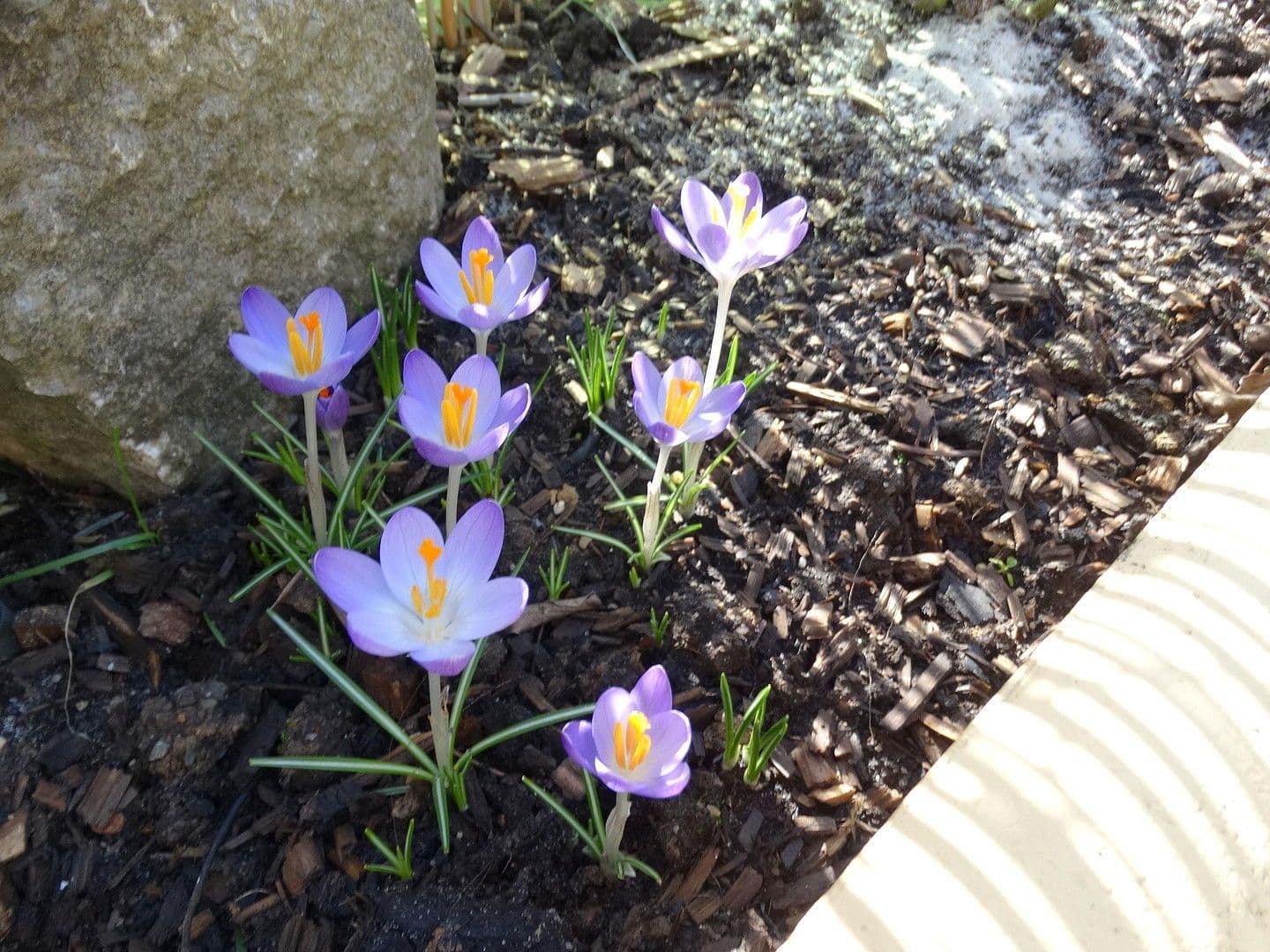 Prodej bytu 3+1 111 m², Waldbüttelbrunn, Bavorsko Prodej bytu 3+1 111 m², Waldbüttelbrunn, Bavorsko