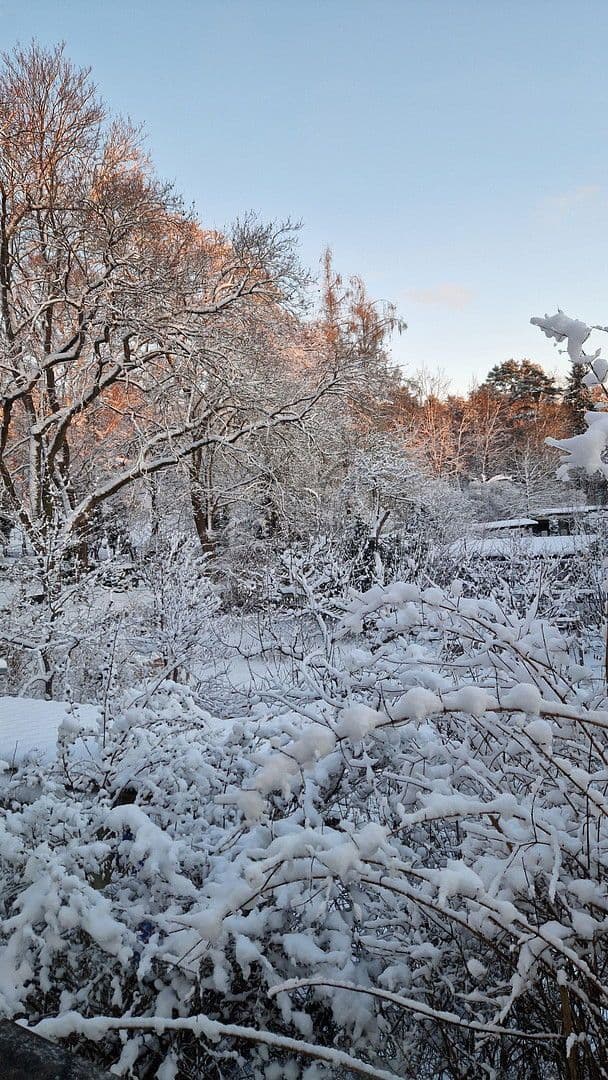 Prodej domu 200 m², pozemek 668 m², Berlin, Berlín Prodej domu 200 m², pozemek 668 m², Berlin, Berlín