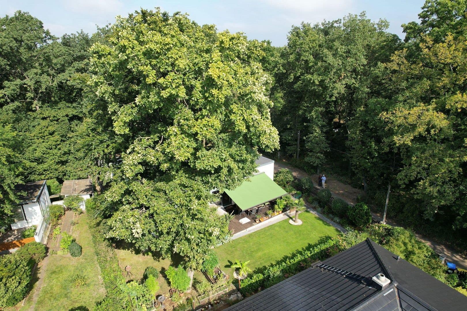 Prodej domu 132 m², pozemek 1.130 m², Radebeul, Sasko Prodej domu 132 m², pozemek 1.130 m², Radebeul, Sasko