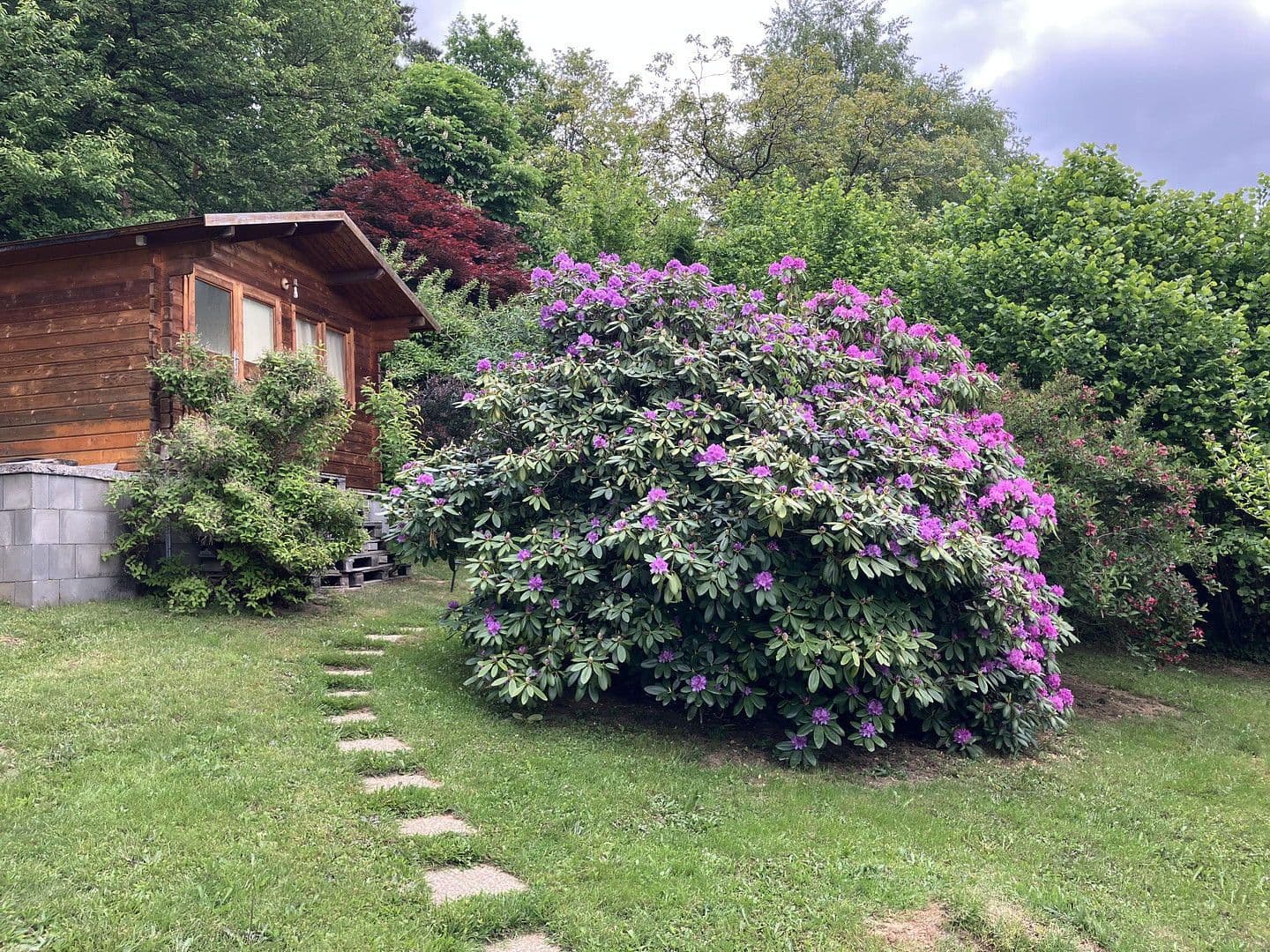 Prodej domu 50 m², pozemek 1.000 m², Lockenhaus, Hradsko Prodej domu 50 m², pozemek 1.000 m², Lockenhaus, Hradsko