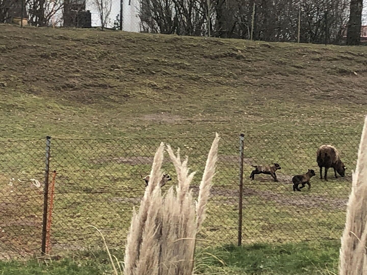 Prodej domu 157 m², pozemek 900 m², Poseritz, Mecklenburg-Vorpommern Prodej domu 157 m², pozemek 900 m², Poseritz, Mecklenburg-Vorpommern