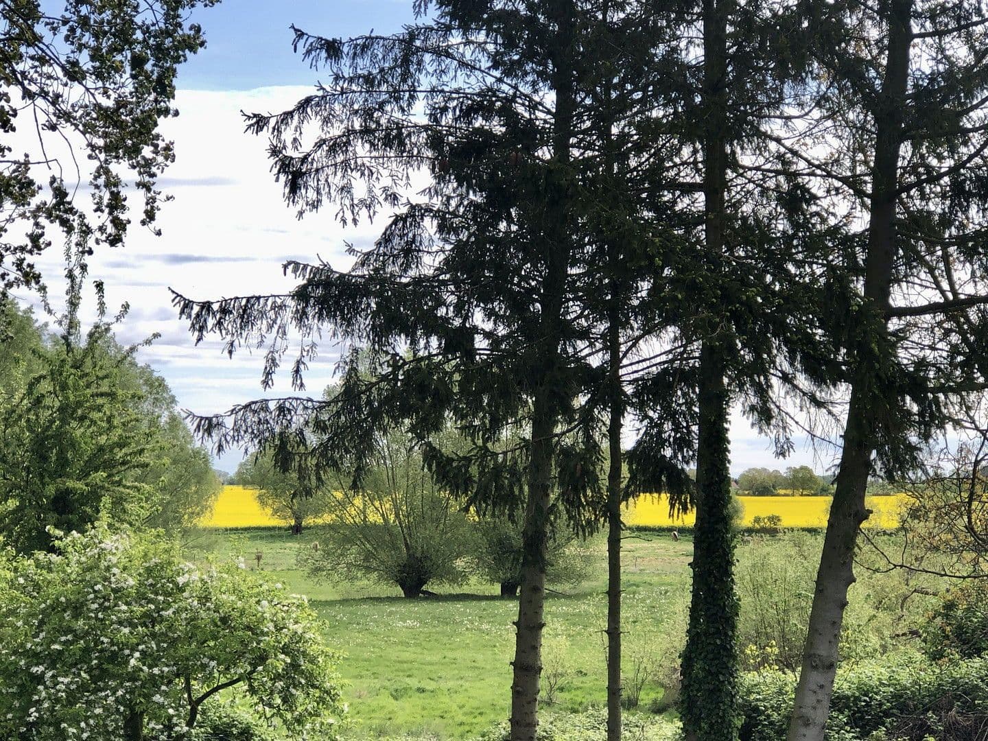 Prodej domu 157 m², pozemek 900 m², Poseritz, Mecklenburg-Vorpommern Prodej domu 157 m², pozemek 900 m², Poseritz, Mecklenburg-Vorpommern