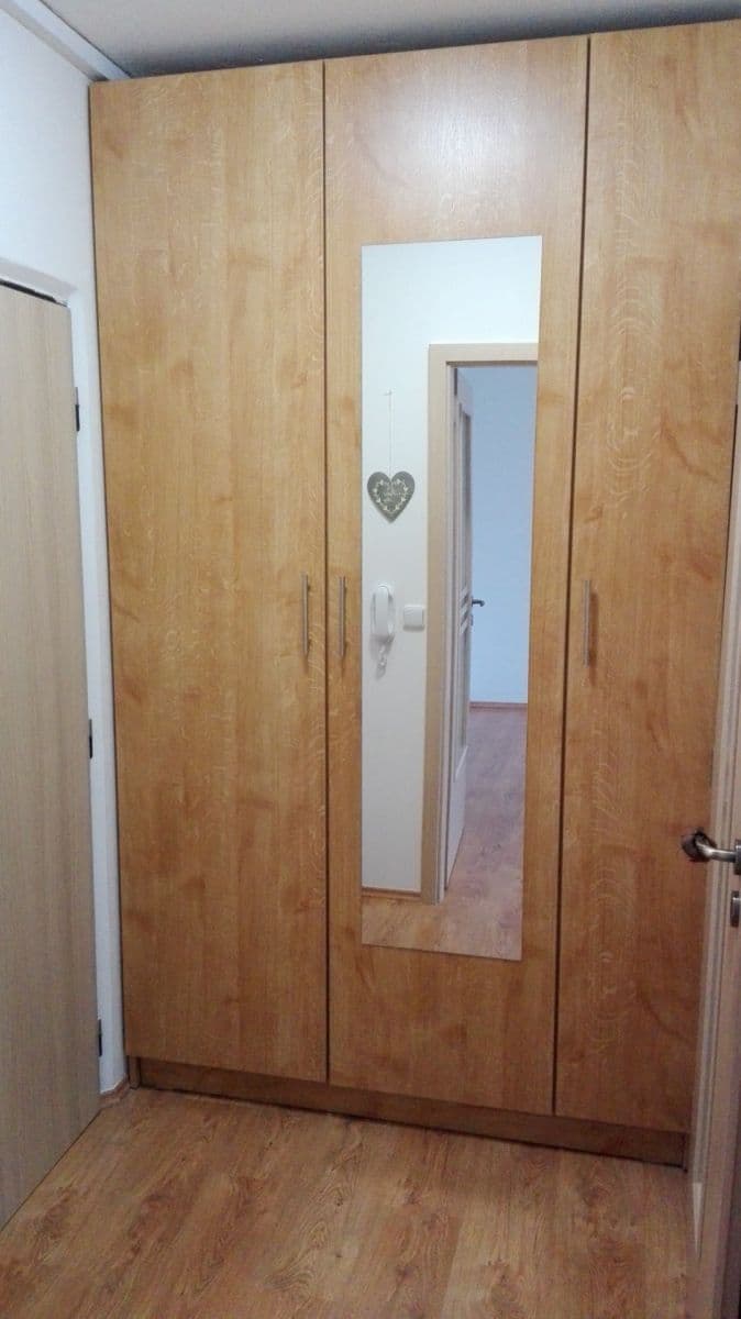 Pronájem bytu 1+1 35 m², Červenkova, Praha, Praha Pronájem bytu 1+1 35 m², Červenkova, Praha, Praha