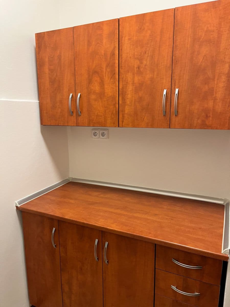 Pronájem bytu 2+kk 68 m², Puškinovo náměstí, Praha, Praha Pronájem bytu 2+kk 68 m², Puškinovo náměstí, Praha, Praha