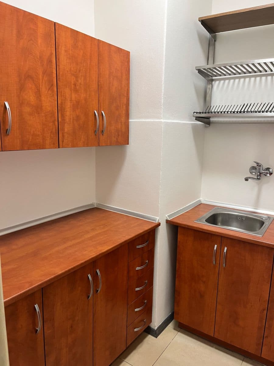 Pronájem bytu 2+kk 68 m², Puškinovo náměstí, Praha, Praha Pronájem bytu 2+kk 68 m², Puškinovo náměstí, Praha, Praha