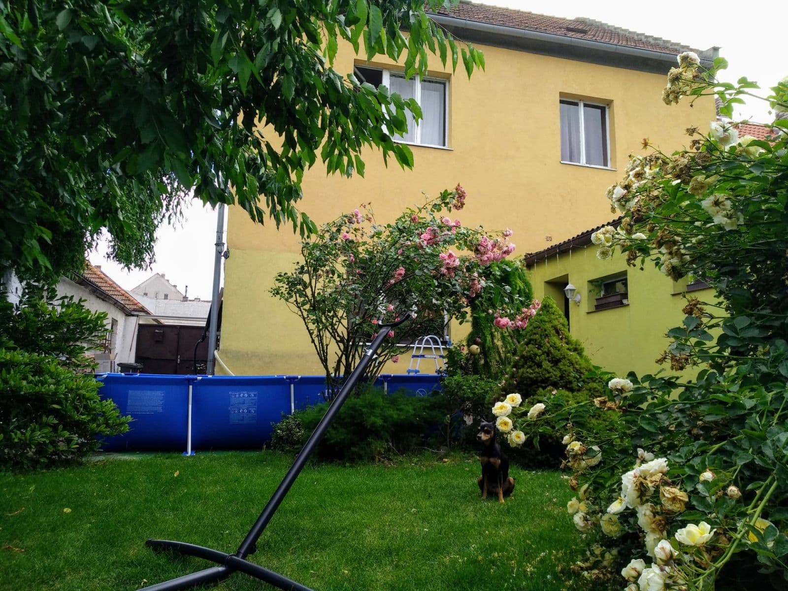 Pronájem domu 190 m², pozemek 374 m², Bratří Karpíšků, Pchery, Středočeský kraj Pronájem domu 190 m², pozemek 374 m², Bratří Karpíšků, Pchery, Středočeský kraj