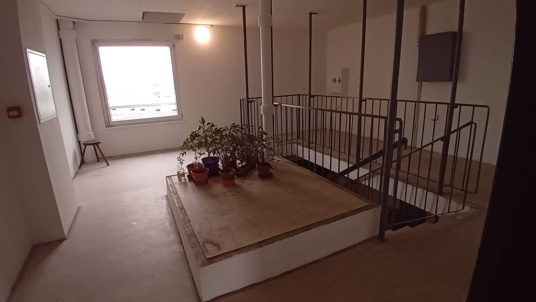 Pronájem nebytového prostoru 32 m², Jeseniova, Praha, Praha Pronájem nebytového prostoru 32 m², Jeseniova, Praha, Praha