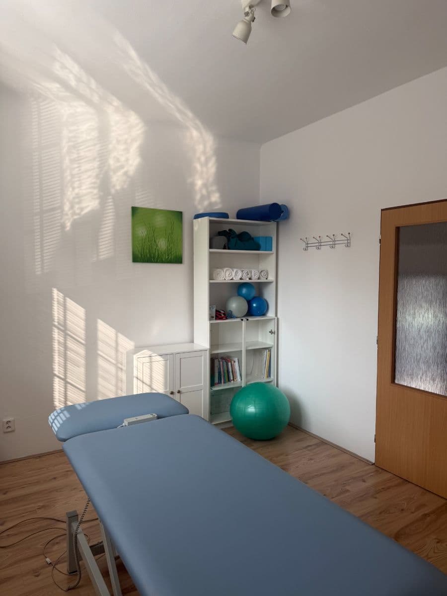 Pronájem nebytového prostoru 20 m², Legionářů, Praha, Praha Pronájem nebytového prostoru 20 m², Legionářů, Praha, Praha