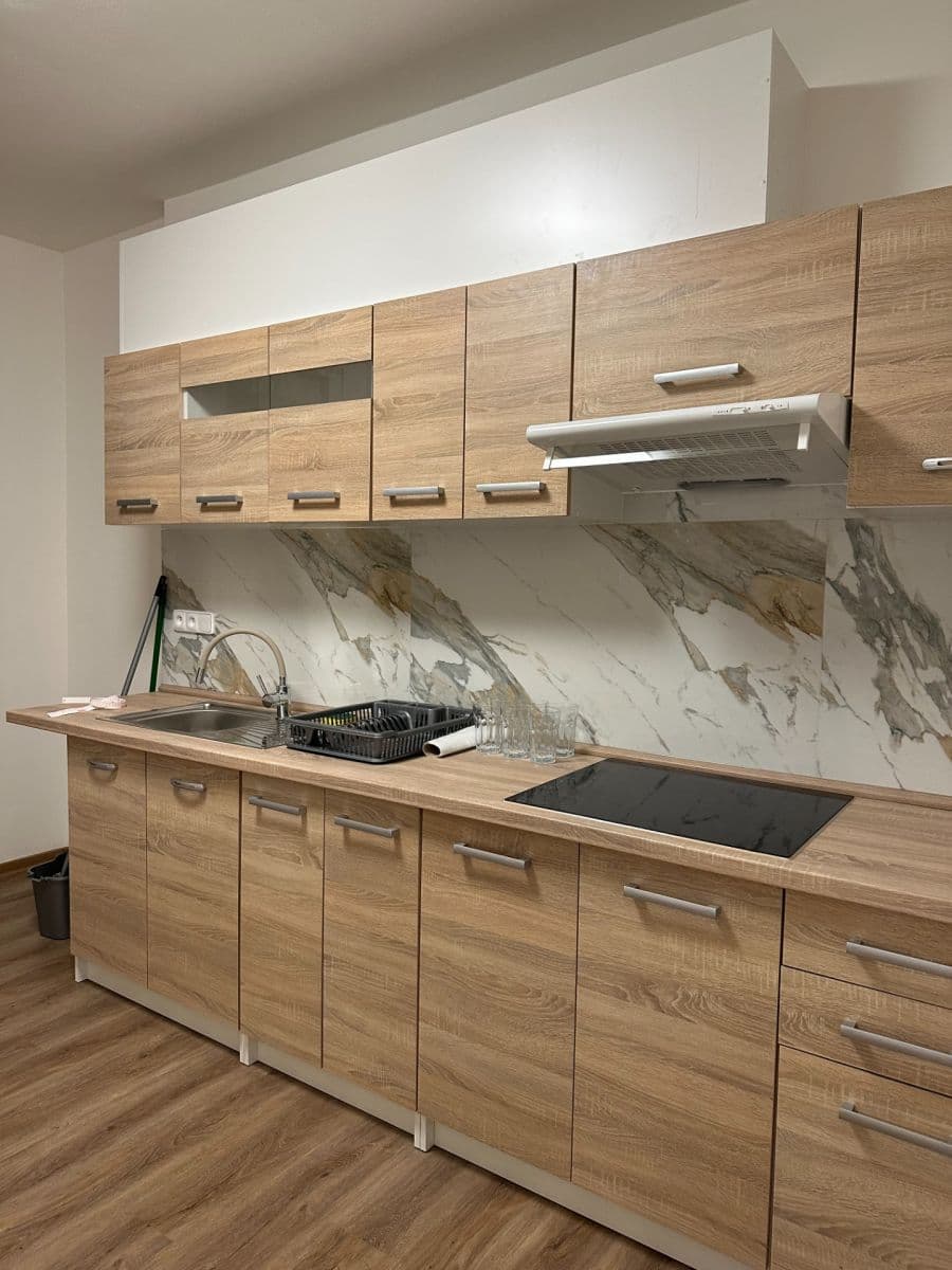 Pronájem bytu 2+1 59 m², Herálecká Ⅰ, Praha, Praha Pronájem bytu 2+1 59 m², Herálecká Ⅰ, Praha, Praha