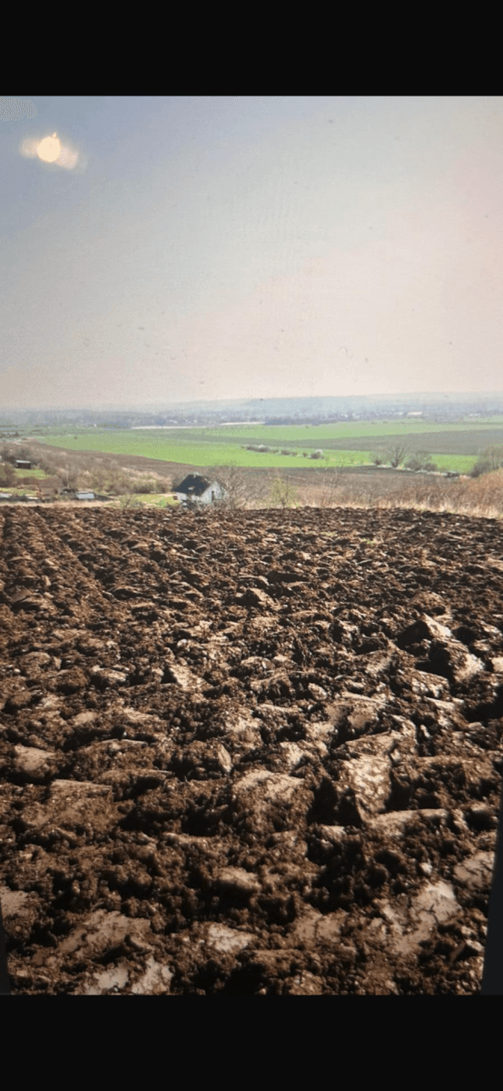 Prodej pozemku 3.892 m², Jeviněves, Středočeský kraj Prodej pozemku 3.892 m², Jeviněves, Středočeský kraj