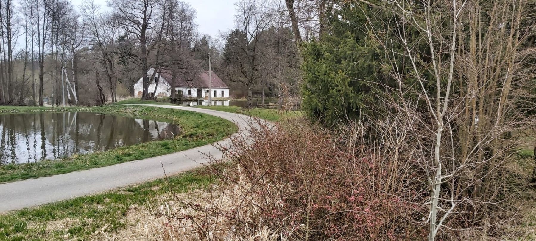 Pronájem pozemku 208 m², V Plaňkách, Rokycany, Plzeňský kraj Pronájem pozemku 208 m², V Plaňkách, Rokycany, Plzeňský kraj