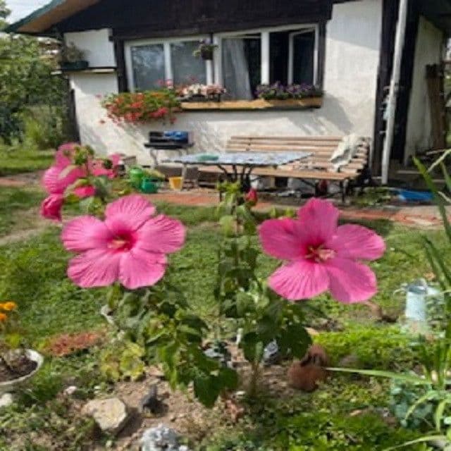 Prodej chaty, chalupy 16 m², pozemek 313 m², Na Rybářce, Praha, Praha Prodej chaty, chalupy 16 m², pozemek 313 m², Na Rybářce, Praha, Praha