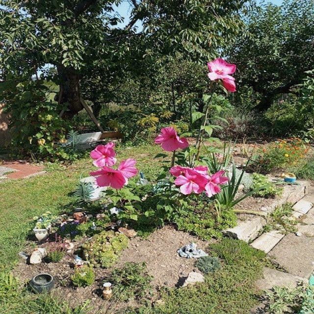 Prodej chaty, chalupy 16 m², pozemek 313 m², Na Rybářce, Praha, Praha Prodej chaty, chalupy 16 m², pozemek 313 m², Na Rybářce, Praha, Praha