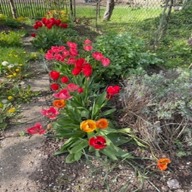 Prodej chaty, chalupy 16 m², pozemek 313 m², Na Rybářce, Praha, Praha Prodej chaty, chalupy 16 m², pozemek 313 m², Na Rybářce, Praha, Praha