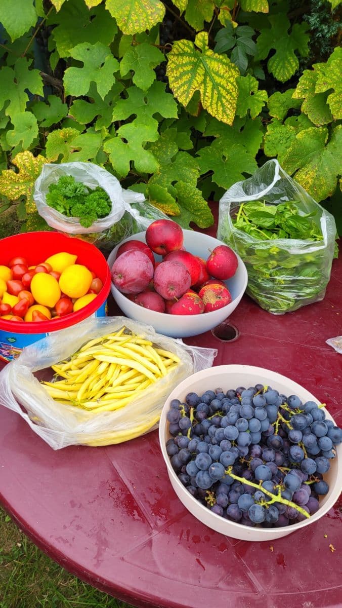 Prodej pozemku 655 m², Březová, Děčín, Ústecký kraj Prodej pozemku 655 m², Březová, Děčín, Ústecký kraj