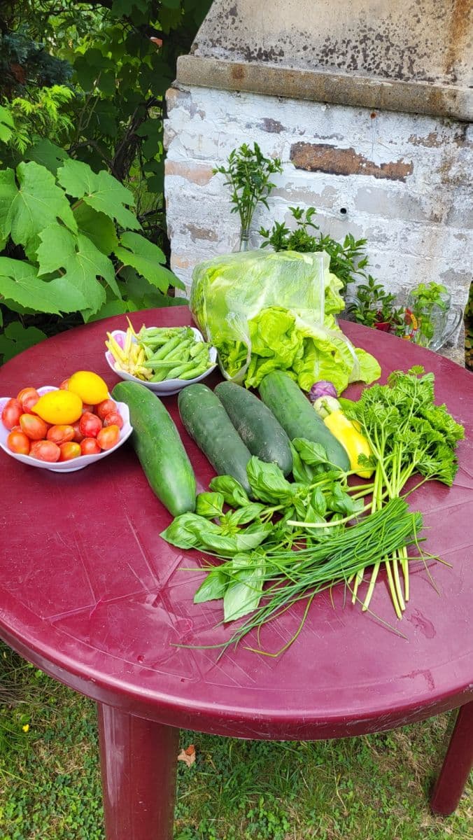 Prodej pozemku 655 m², Březová, Děčín, Ústecký kraj Prodej pozemku 655 m², Březová, Děčín, Ústecký kraj