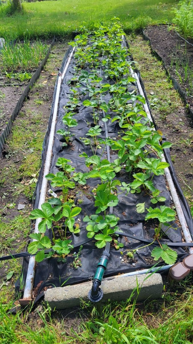 Prodej pozemku 655 m², Březová, Děčín, Ústecký kraj Prodej pozemku 655 m², Březová, Děčín, Ústecký kraj