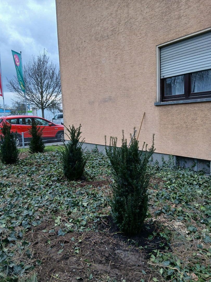 Pronájem bytu 3+1 86 m², Ludwigshafen, Porýní-Falc Pronájem bytu 3+1 86 m², Ludwigshafen, Porýní-Falc