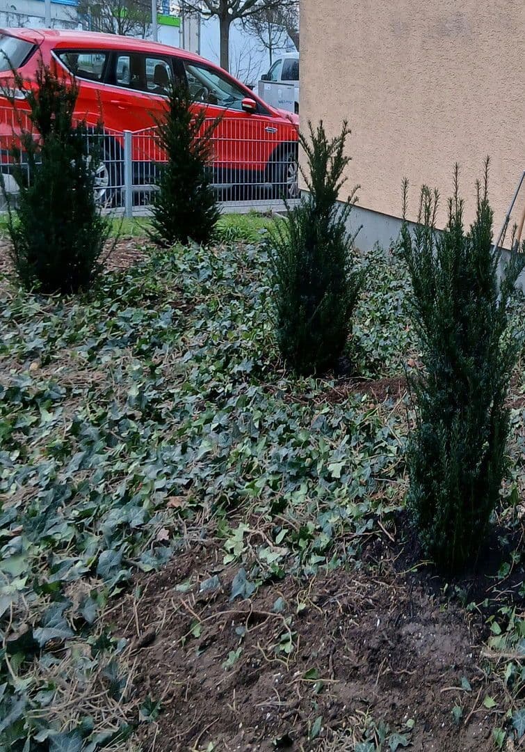 Pronájem bytu 3+1 86 m², Ludwigshafen, Porýní-Falc Pronájem bytu 3+1 86 m², Ludwigshafen, Porýní-Falc