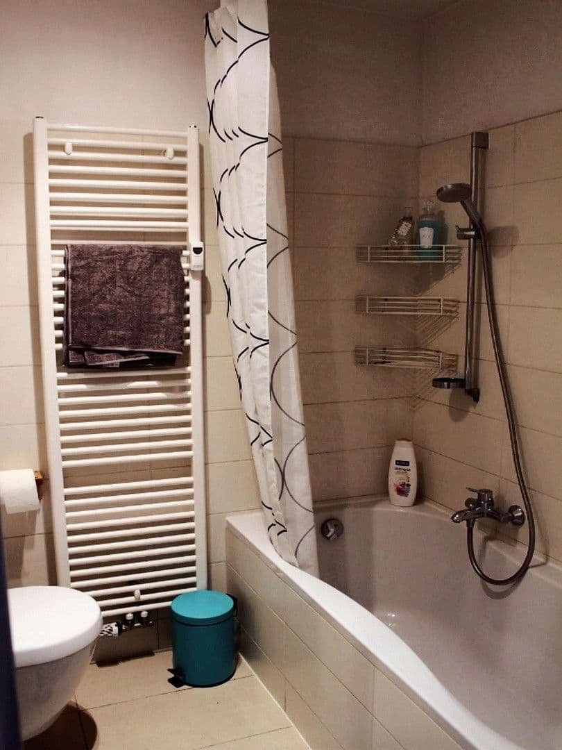 Pronájem bytu 2+1 49 m², Mannheim, Bádensko-Württembersko Pronájem bytu 2+1 49 m², Mannheim, Bádensko-Württembersko