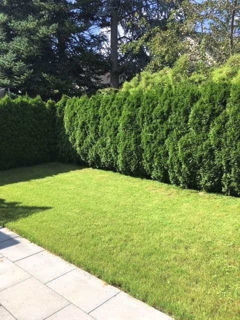 Pronájem domu 172 m², pozemek 325 m², Schneemannstrasse 0, München, Bavorsko Pronájem domu 172 m², pozemek 325 m², Schneemannstrasse 0, München, Bavorsko