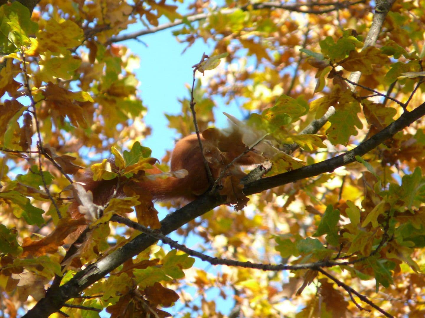 Prodej bytu 2+1 65 m², Fritzlarer Str. 8, Frankfurt am Main, Hessen Prodej bytu 2+1 65 m², Fritzlarer Str. 8, Frankfurt am Main, Hessen