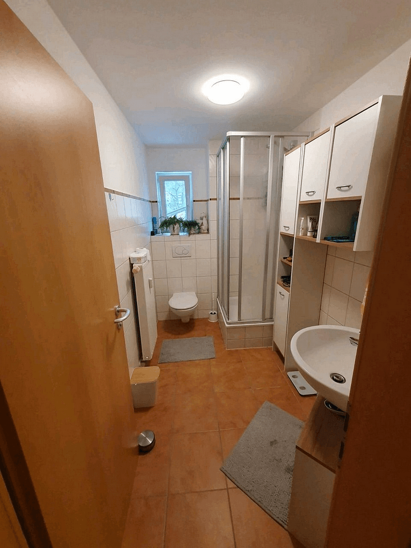 Pronájem bytu 2+1 48 m², Jena, Durynsko Pronájem bytu 2+1 48 m², Jena, Durynsko